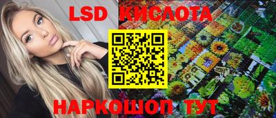 СК Можга