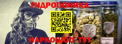 СК Можга