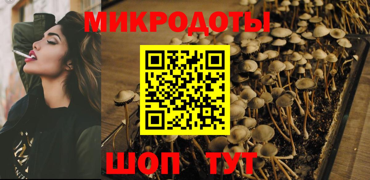 Южноуральск  Галлюциногенные грибы Psilocybine cubensis  Вход с VPN 